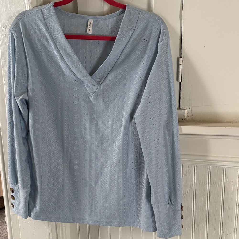 Light Blue V-Neck Women's Top